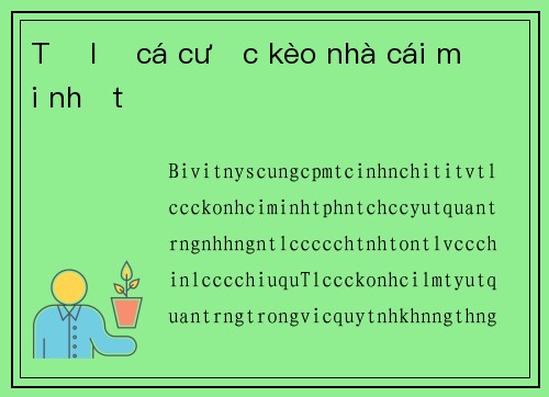 Tỷ lệ cá cược kèo nhà cái mới nhất
