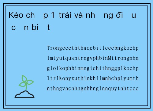 Kèo chấp 1 trái và những điều cần biết