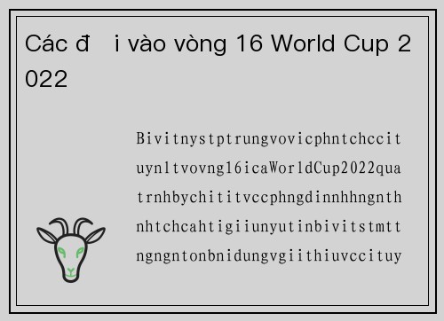 Các đội vào vòng 16 World Cup 2022