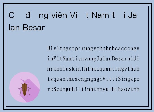 Cổ động viên Việt Nam tại Jalan Besar