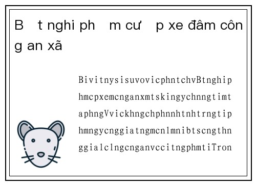 Bắt nghi phạm cướp xe đâm công an xã