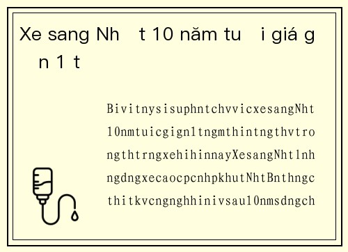 Xe sang Nhật 10 năm tuổi giá gần 1 tỷ